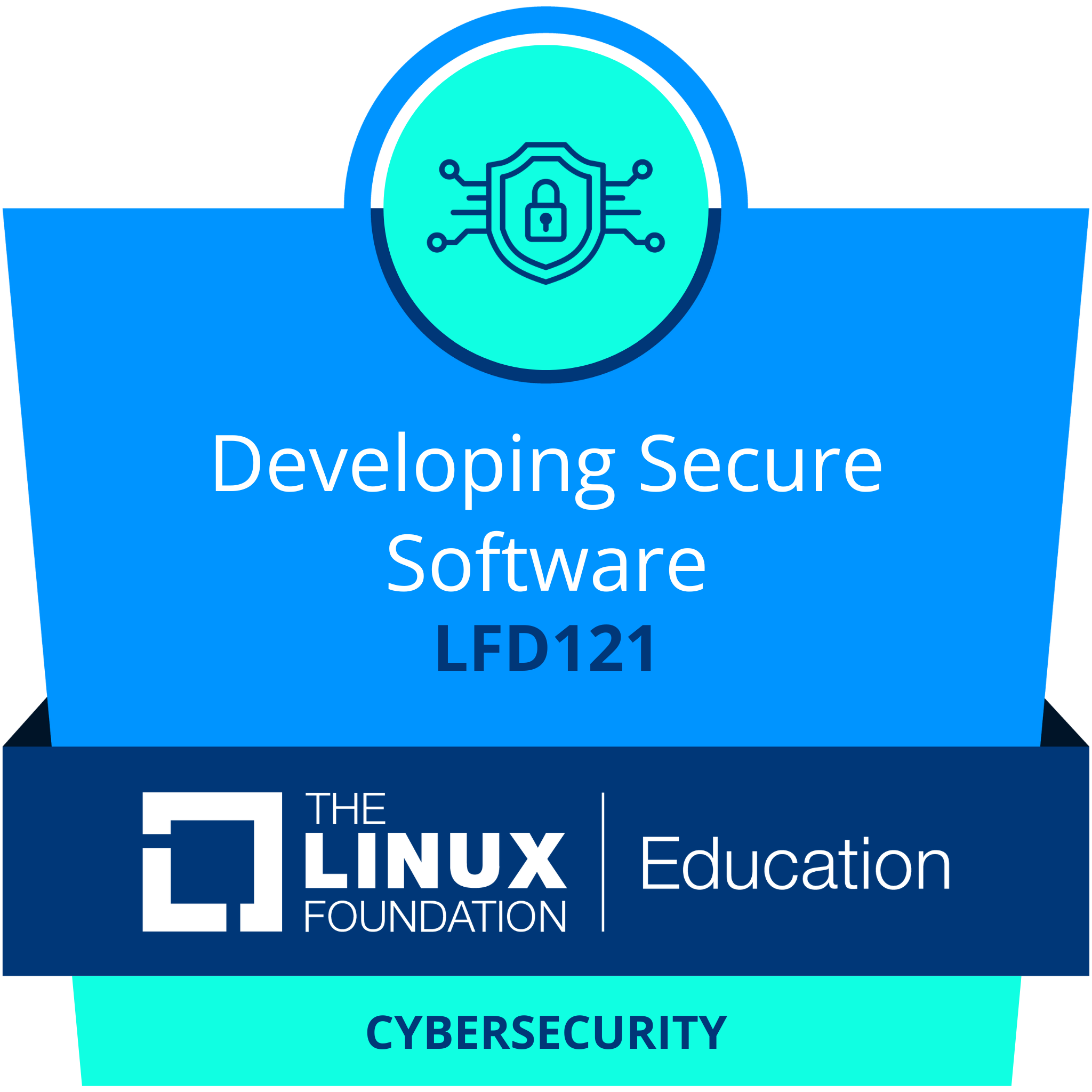 Developing Secure Software