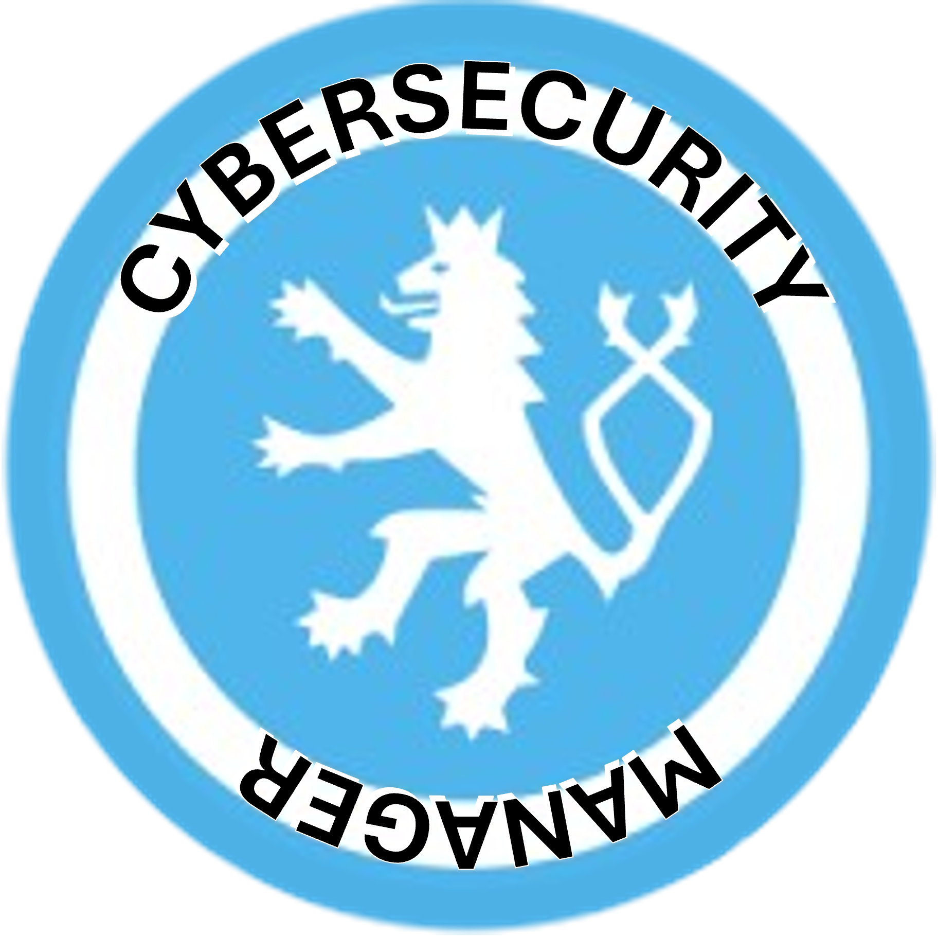 Cybersecurity Manager 24